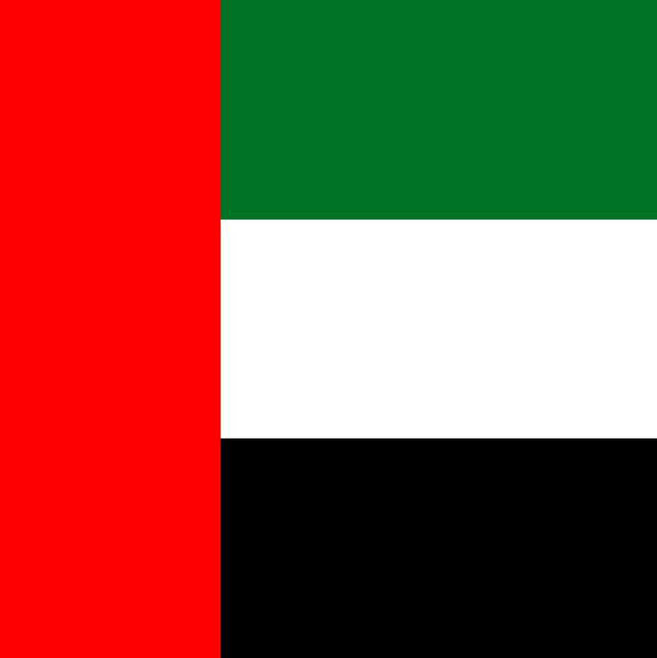 Arabic Flag